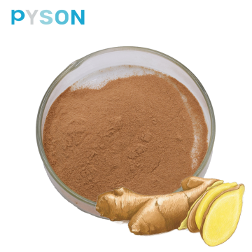 Ginger Extract Gingerol Powder 5% 10%