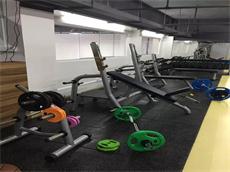 gym equipment