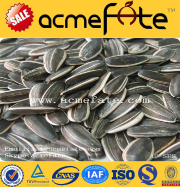 wholesale delicious sunflower seeds