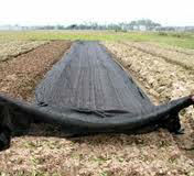 black plastic ground cover mesh