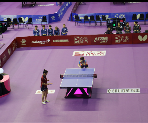 Purple Table Tennis Flooring