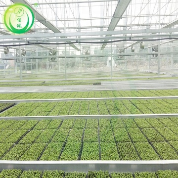 Agriculture/Farming Greenhouse For Sale