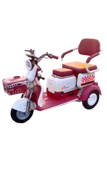 Smart Urban Electric Tricycle Built for Easy Parking