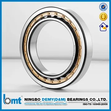 Cylindrical Roller Bearing Nu1021c3