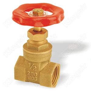 South USA Brass Gate Valves