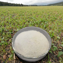 High Plant Protein Rice Protein Powder For Animal