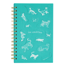 Amazon new Interesting school notebook USA