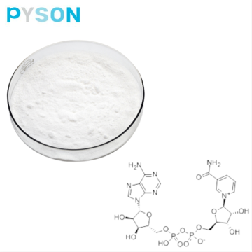 Bate-Nicotinamid-Adenin-Dinukleotid-Pulver