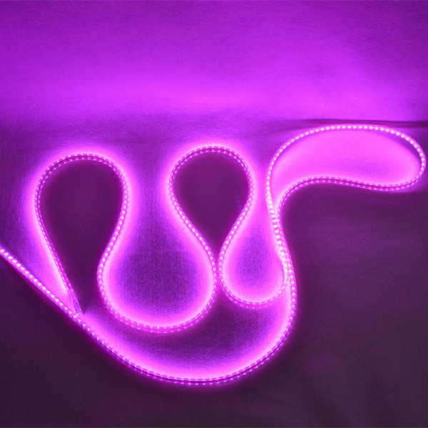 Custom IP65 Waterproof Flexible LED Strip Lights for Party Wedding Decoration