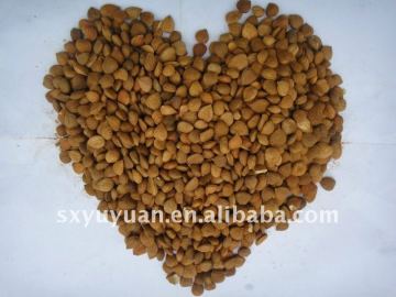 Bitter Chinese Apricot