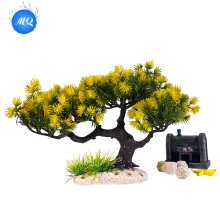 Beautiful Aquatic Flora for Indoor Fish Tanks