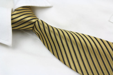 Fashion Stripe Polyester Neck Ties