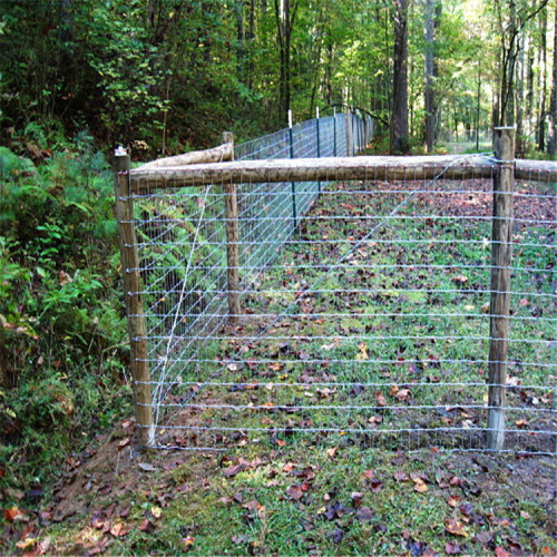 poste de la cerca verde