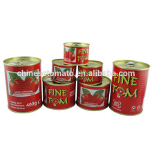 Paste type canned tomato paste