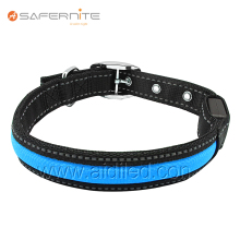 Premium Dog Collars That Blue Light Up At Night