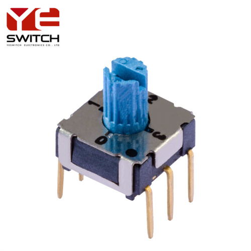 through hole 10 position rotary dip switch