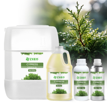 Cypress Essential Oil – Purifying & Astringent, Circulatory Support, Forest Aroma