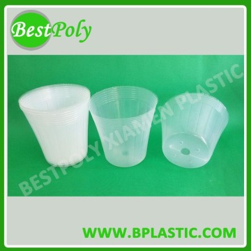 high quality plastic orchid phalaenopsis seedling pot for sale