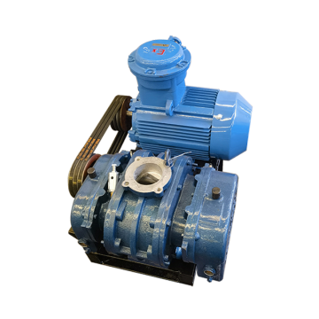 RSR Series Three Lobes Root Air Blower for Wastewater Treatment - Made in China