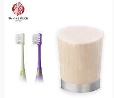 Polyfil™B single tapered toothbrush bristles