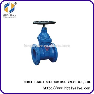 JINKETONGLI looks good stem Stainless gate vale DN 40