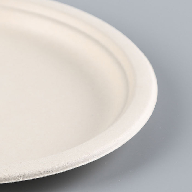 Biodegradable Uncoated Sugarcane Ribbed Paper Plates