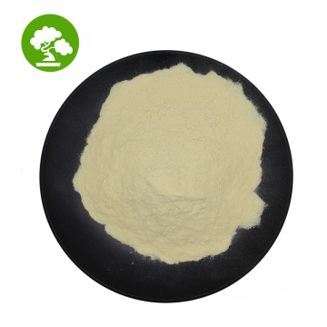 100% Pure Dried Banana Leaf Extract Powder