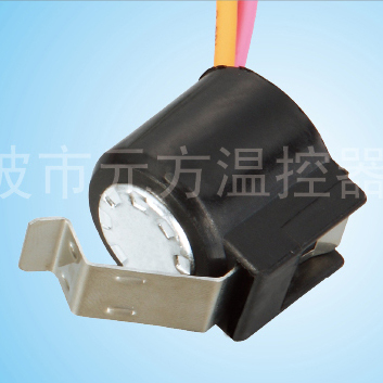 Temperature Controls?