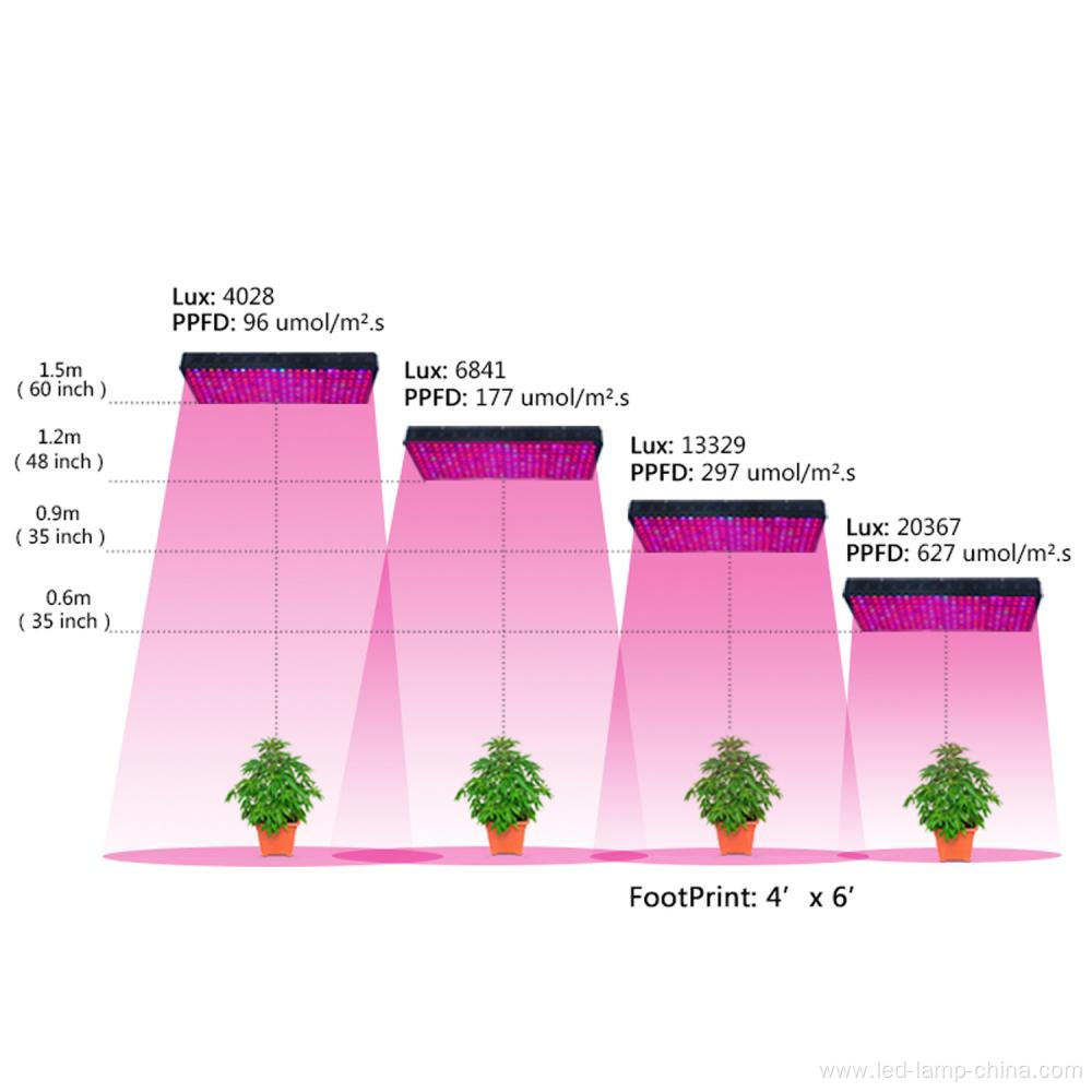 Indoor Led Plant Grow Light 1200W for Hydroponic