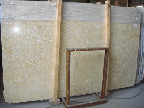 Shell Golden marble