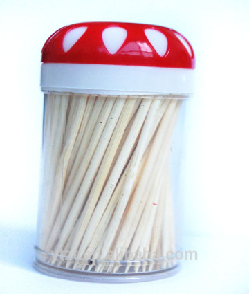 decorative party toothpicks