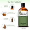 Extracto de naturaleza pura destilación de vapor Mugwort aceite esencial al por mayor de aceite de artemisia para masaje corporal