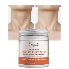 Natural Organic Whipped Shea Body Butter with Cacao, Mango, Vanilla & Almond