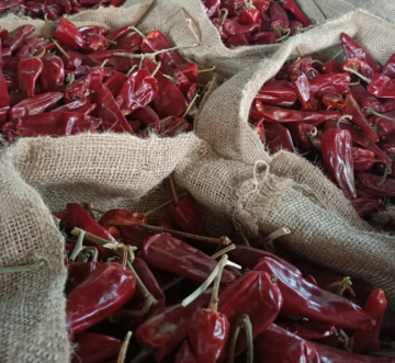 Low Price Yidu Red Chilli Pepper