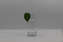 Surface Active Agent Potassium Stearate