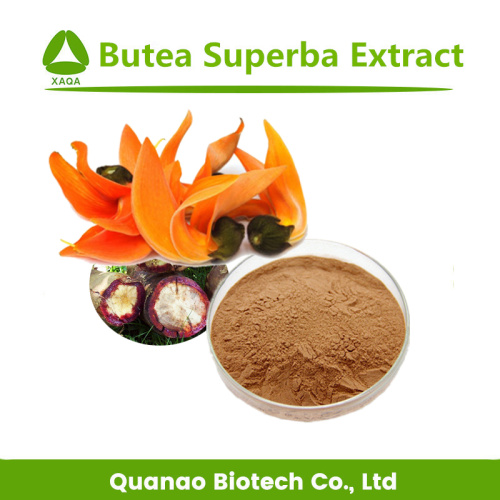 Объемная цена Butea Superba Extract Powder 10: 1