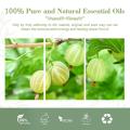 Beste Qualität der Großhandelsversorgung 100% reines natürliches organisches Amla -ätherisches Öl