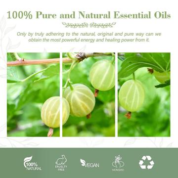 Best Quality Wholesale Supply 100% Pure Natural Organic Amla Essential Oil