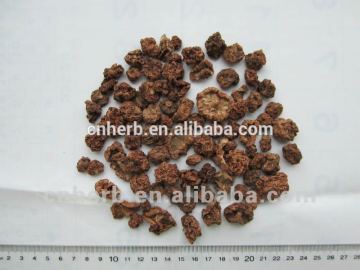 Silvervine Actinidia Fruit/Silvervine Fruit/Mu Tian Liao