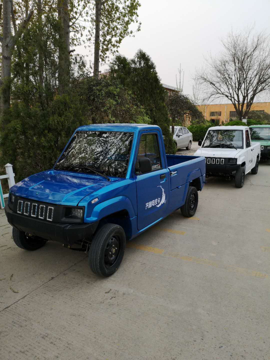 Hot Sell Adults Cheap China Manufacture 4 Seats Car Electric Pickup cargo Truck For Sale