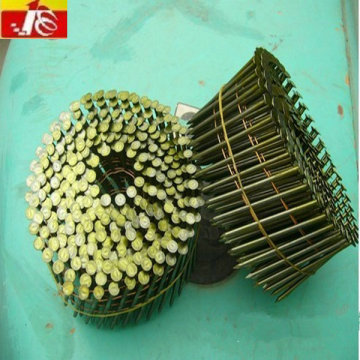 Coil Nail ring shank for pallet