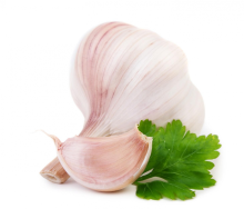 Summer selection of fine garlic