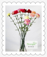 High quality artificial Decorative Harmonious Carnation Flower