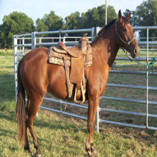 Galvanized Used Livestock Horse Fence Panel