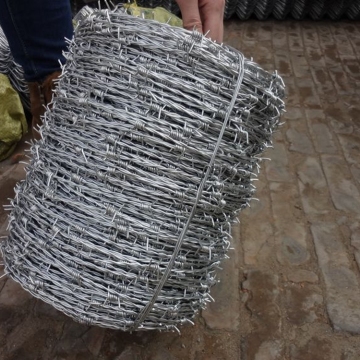 Hot-Dipped Galvanized Barbed wire fence with Customizable