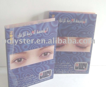 lenticular DVD sleeve