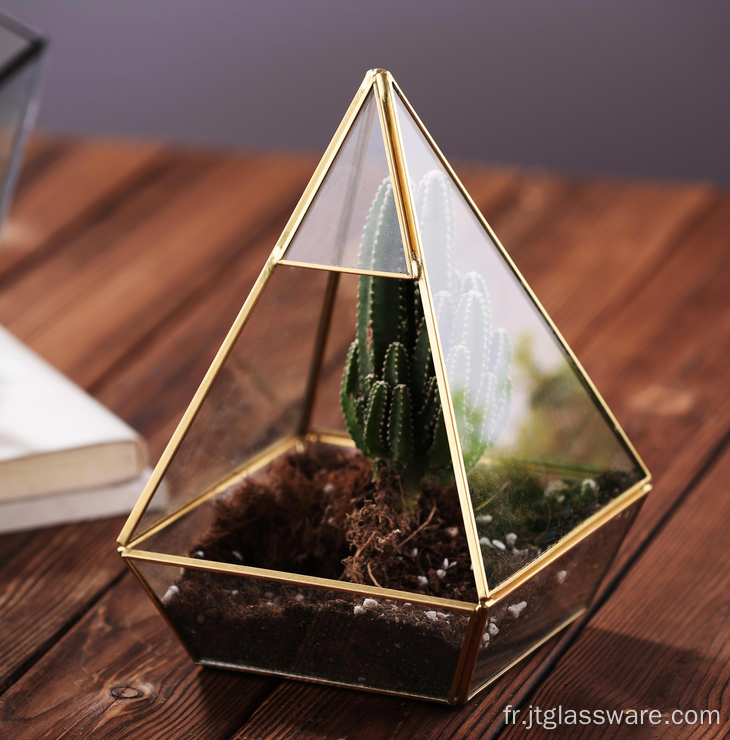 Terrarium en verre géométrique succulent pour mariage en or