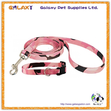 G-A-4189 collar and leads