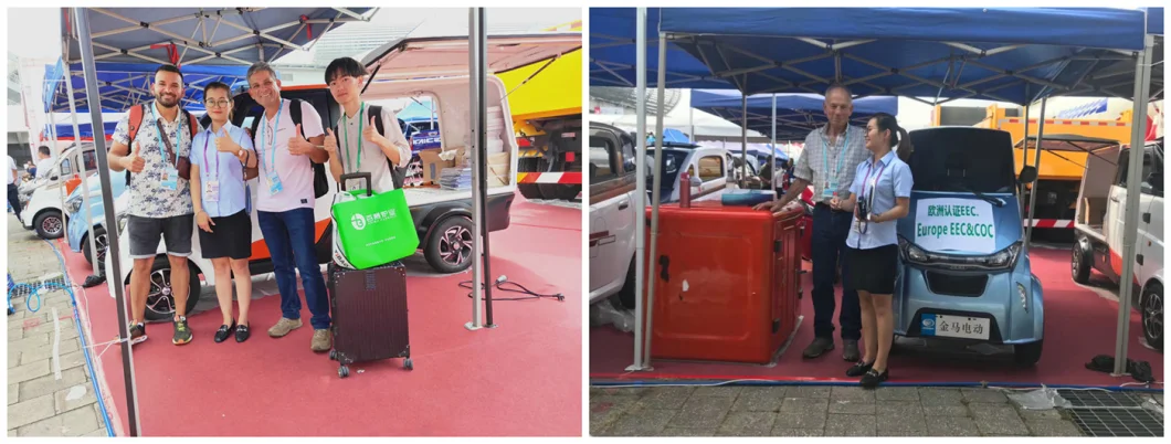 Electric 3 Wheels Mini Van for Food Express EEC Certificate Approved