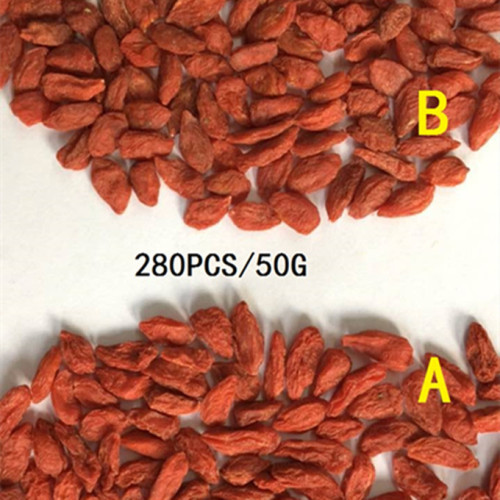 280 grains/50g Lycium barbarum from producing area